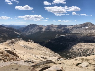 IMG_1962.jpg