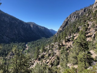IMG_1995.jpg