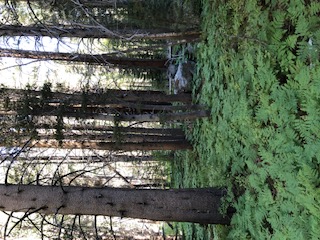 IMG_1997.jpg