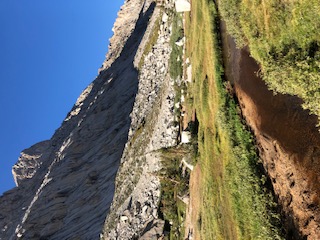 IMG_2011.jpg