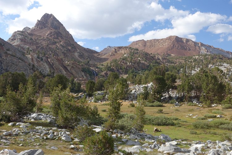 Meadows to west of Big McGee
