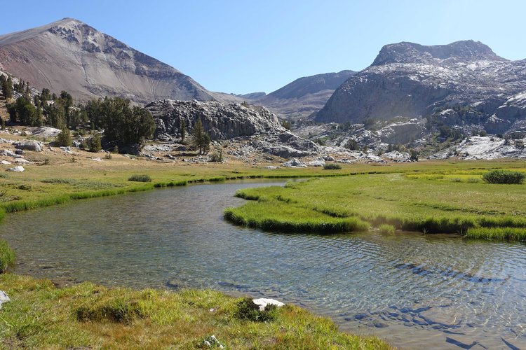 Meadows west of McGee Pass