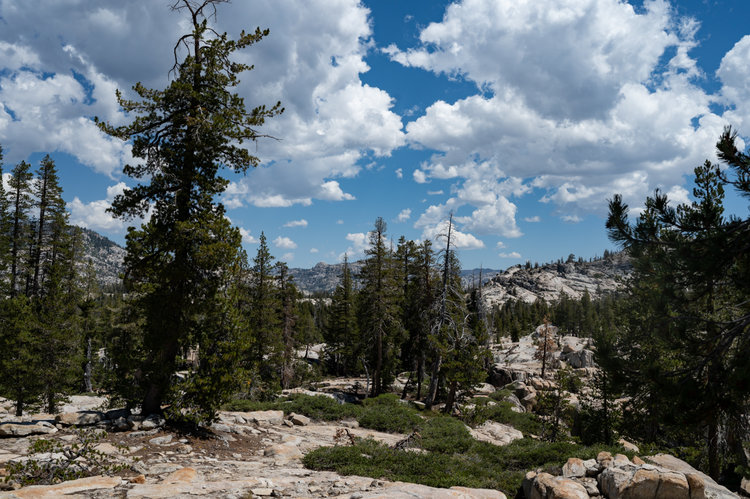 Beautiful terrain
