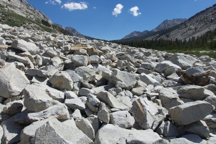 Who likes talus!?