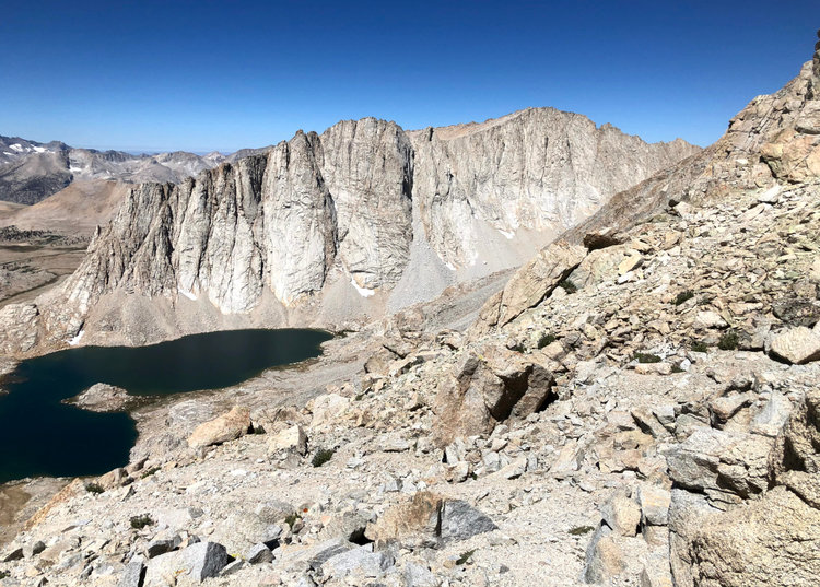 top_w_tyndall_col.jpg