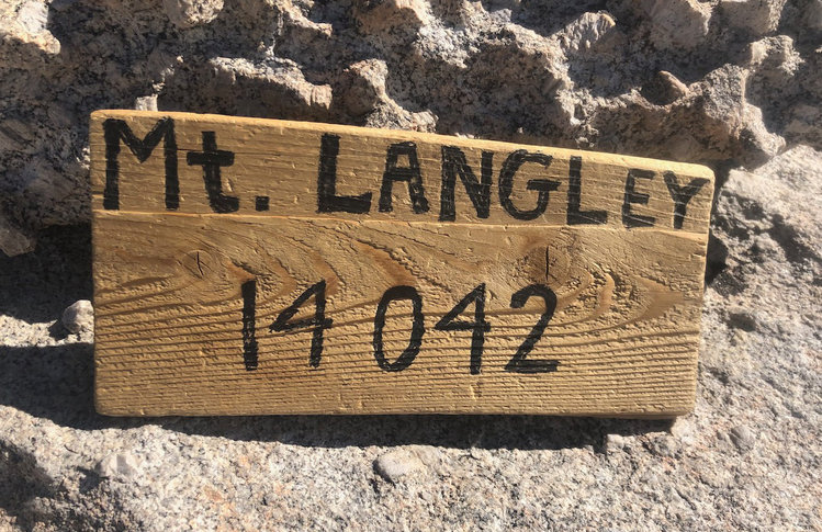 langley_wood.jpeg
