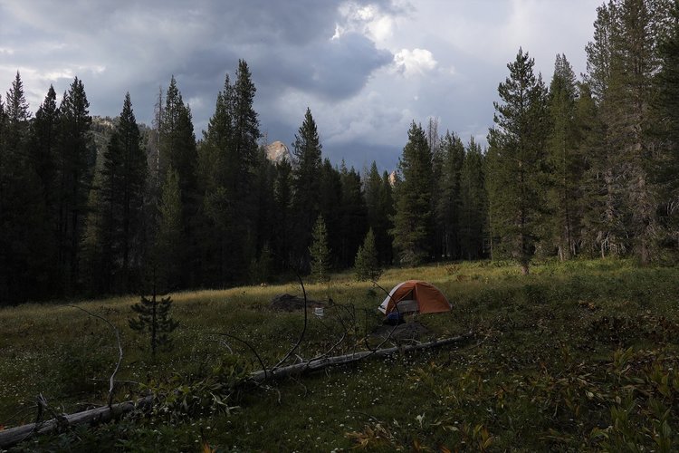 Little Rancheria meadow.