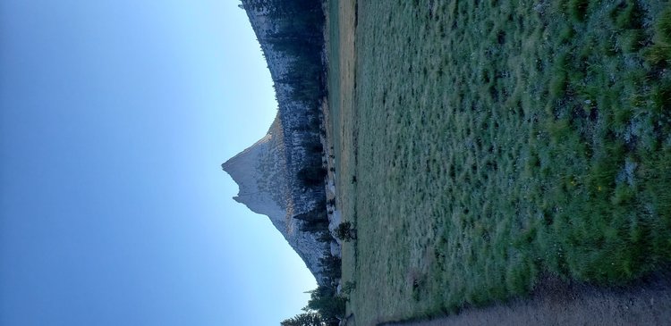 Nice view of Cathedral Peak in the morning