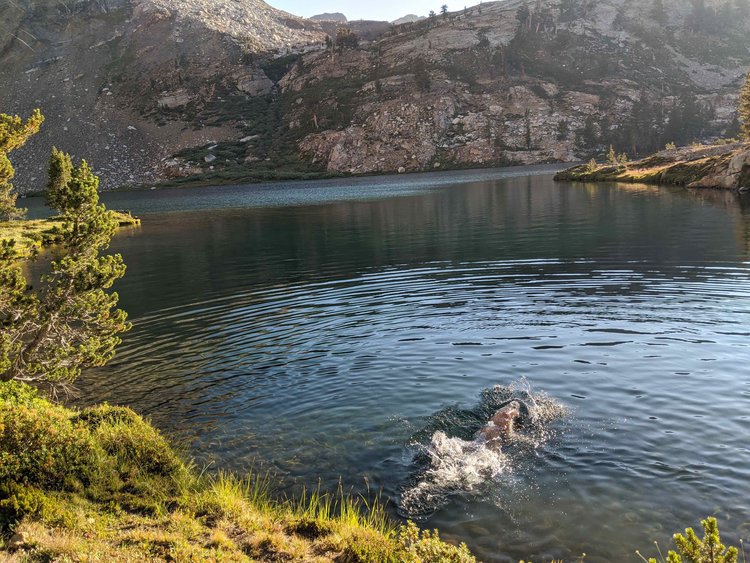 A quick swim.