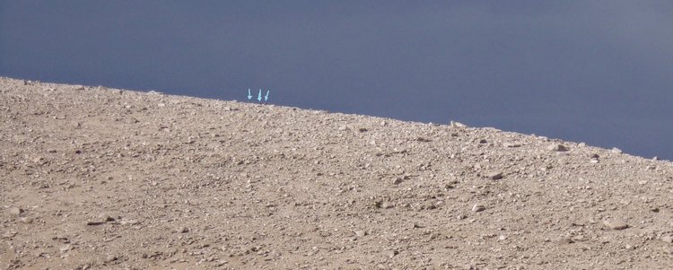 100_4316.jpg