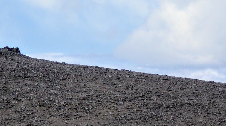 100_4307.jpg