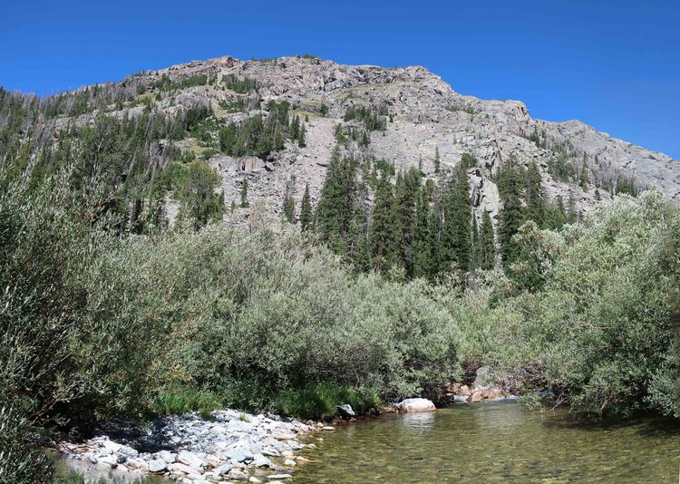 Crossing the Roaring Fork at Alexander Park