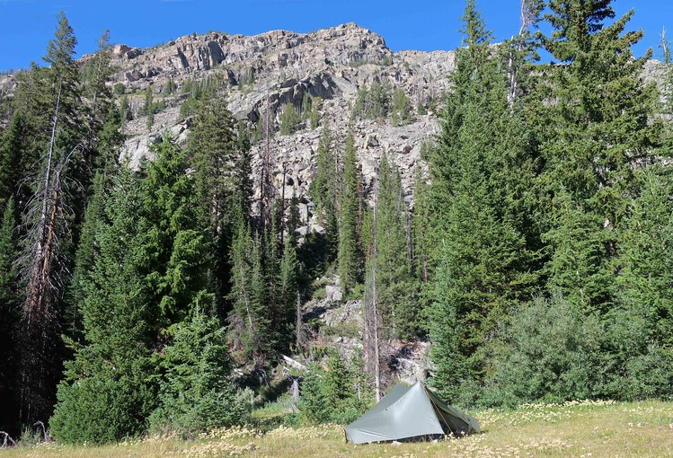 Alexander Park camp