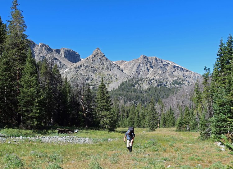 Meadow along the Roaring Fork