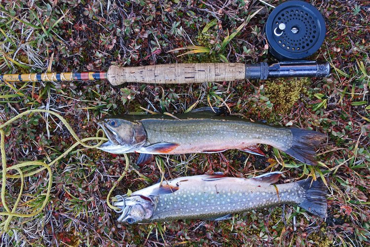 Brook trout caught in Upper Toadstool Lake