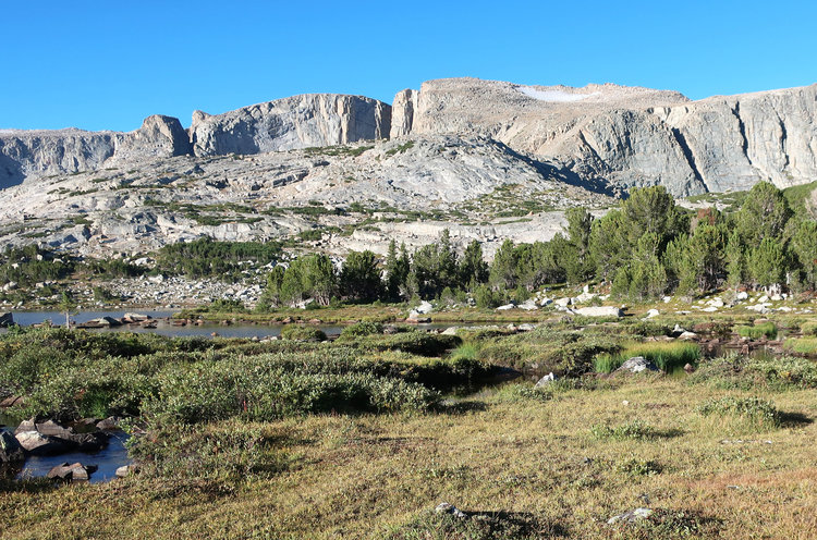 Shoal Lake outlet meadow