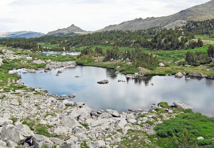Outlet pond from Trail Lake