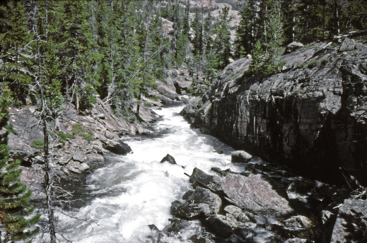 Bull Lake Creek below Alpine Lake