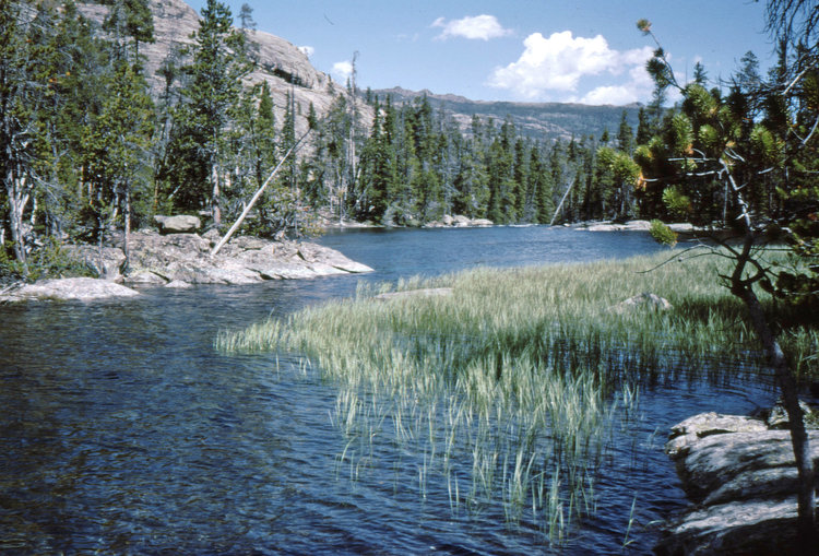 Outlet of Alpine Lake