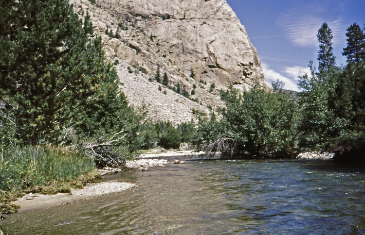 8/19 along Bull Lake Creek