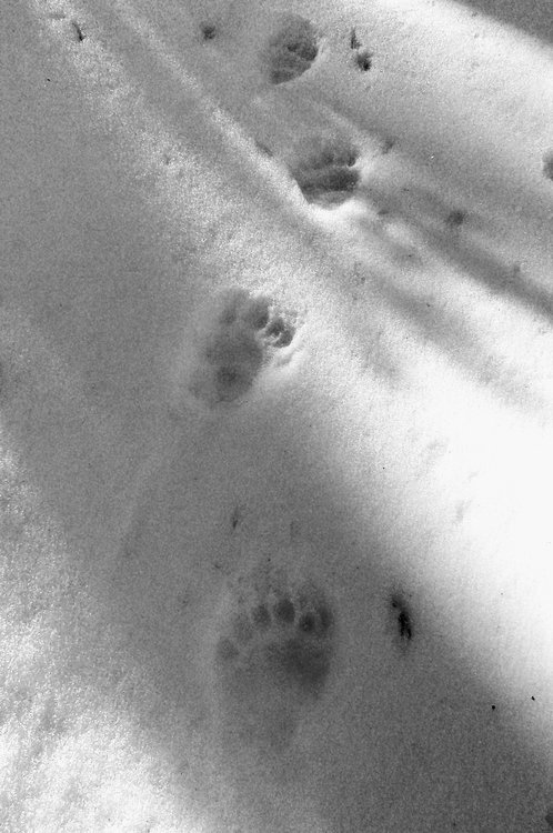 100_0349.JPG