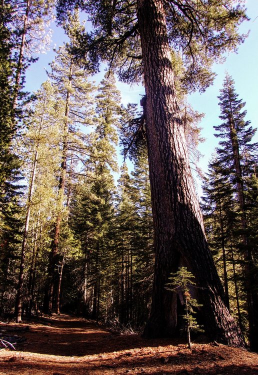 100_0307.JPG