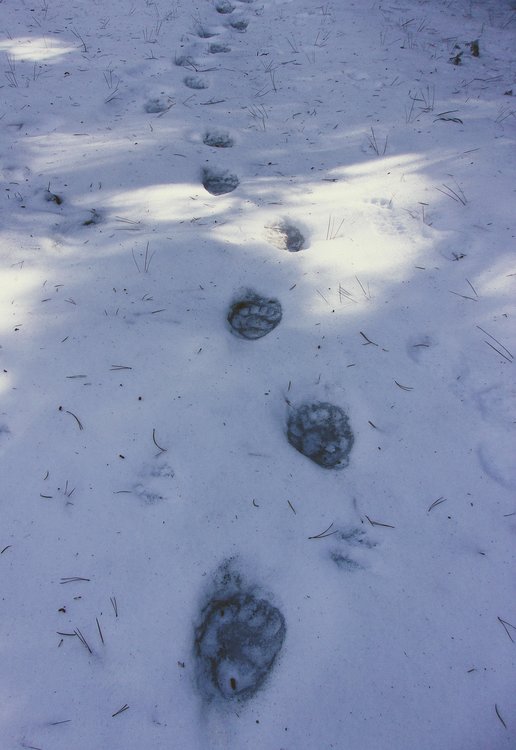 100_0463.JPG