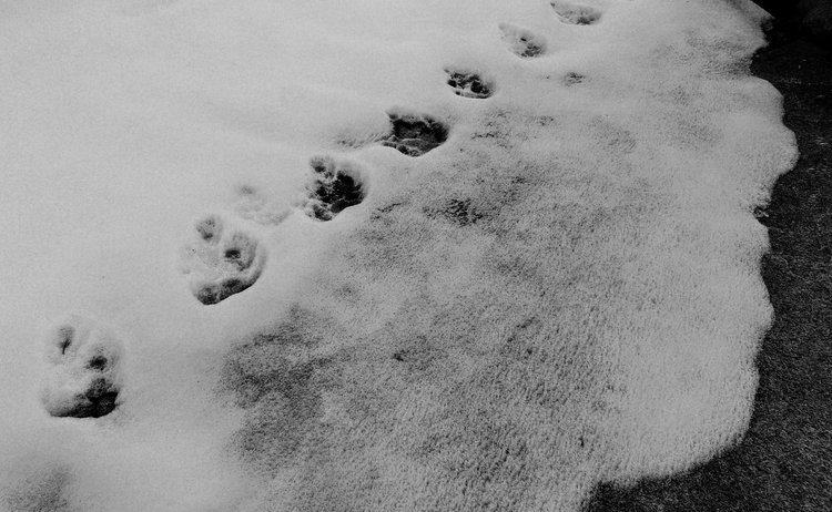 100_0427.JPG