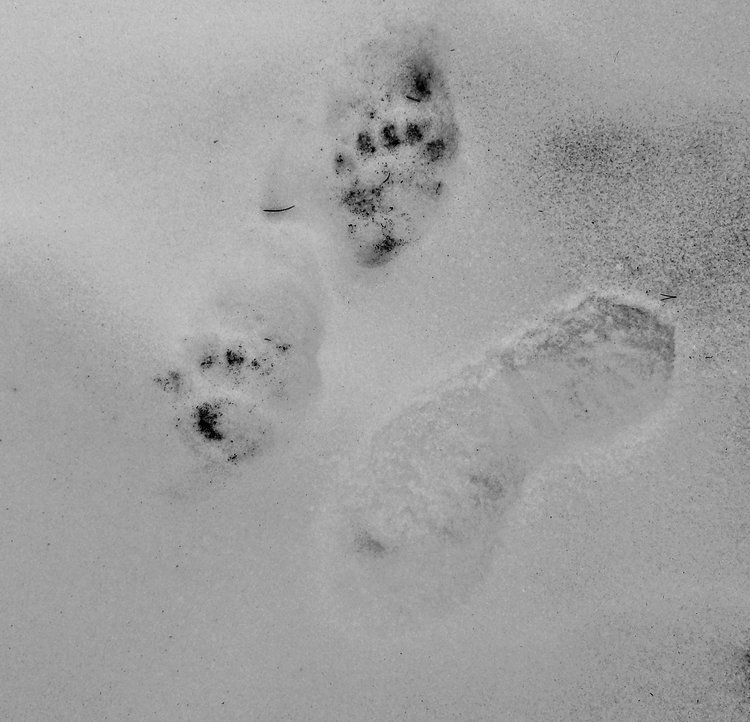 100_0437.JPG