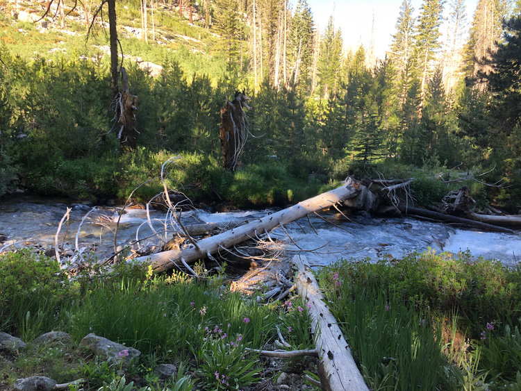 SHR-JMT-Middle Fork - 1 of 1.jpeg