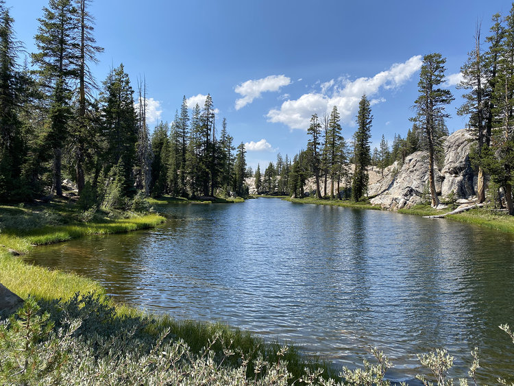 EMIGRANT_WILDERNESS8054 copy.jpg
