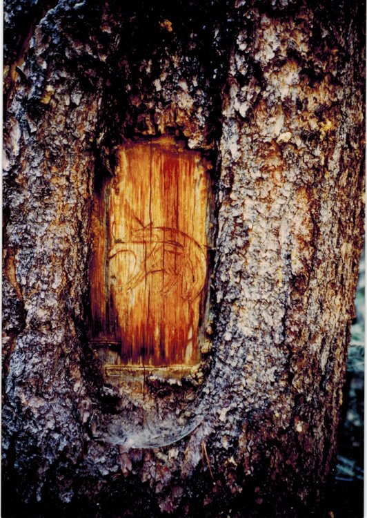 Scan 10.jpeg