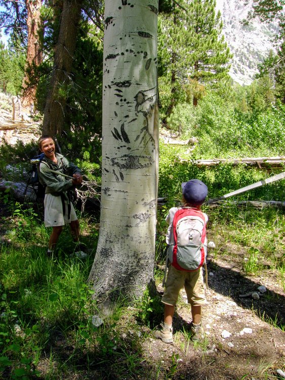 DSC00852.JPG