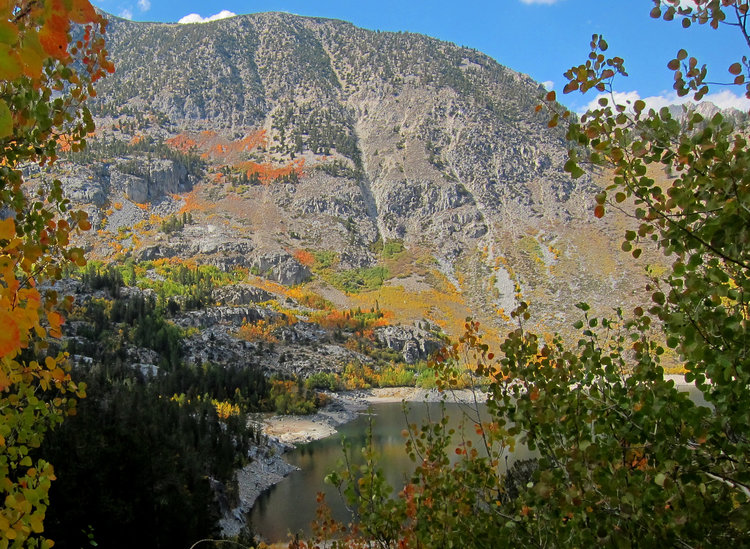 More if the vegetation on the end if the lake