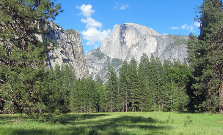 Half Dome from the Meadow near Curry Village