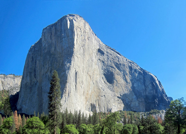 El Cap viewed from off-trail along the Merced River