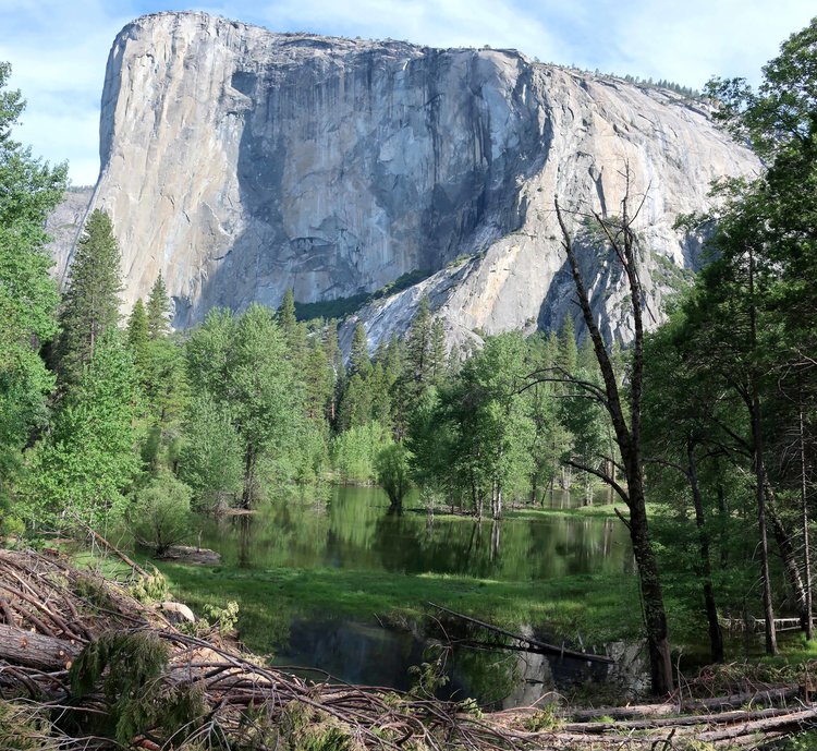El Capitan from off-trail across the Merced