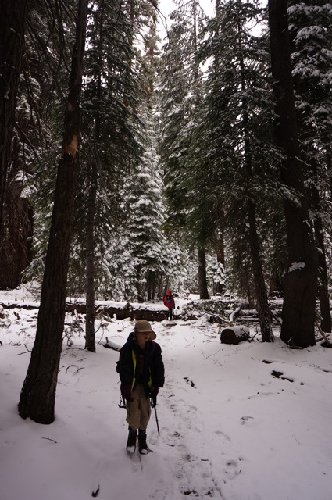 In the snow