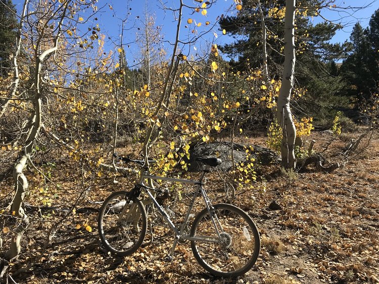 This bike was $25 on Craigslist, but I still felt compelled to lock it up :|