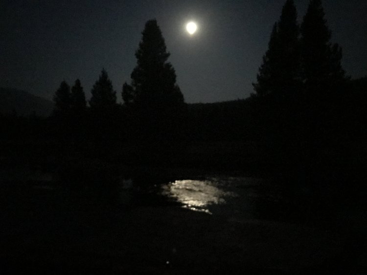 I couldn't bring myself to see the Lyell Fork one more flippin' time!