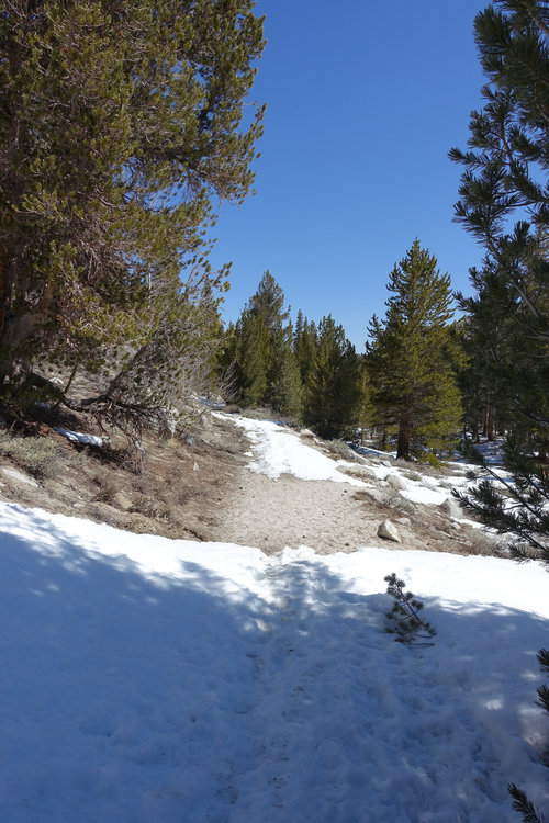 The trail approaching Mosquito Flat on the way back
