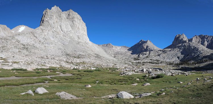 Miter Basin meadow at 11150