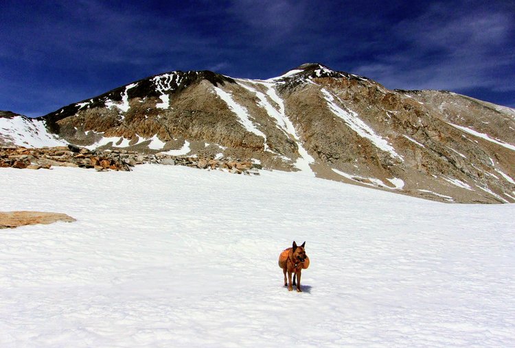 100_1025.JPG
