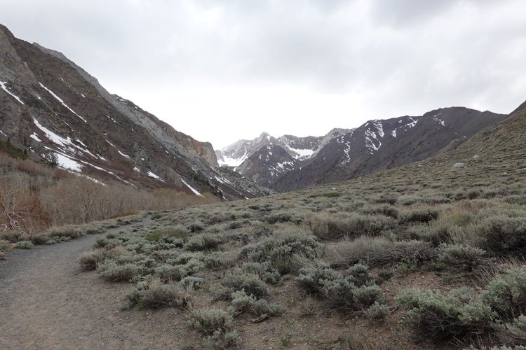 McGee Creek TH