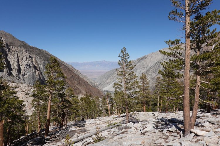 Upper Pine lake