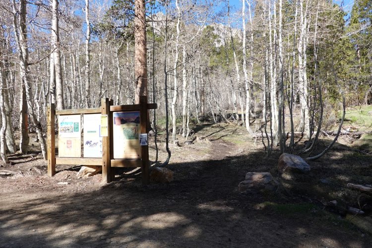 Piute Pass TH - No snow anywhere