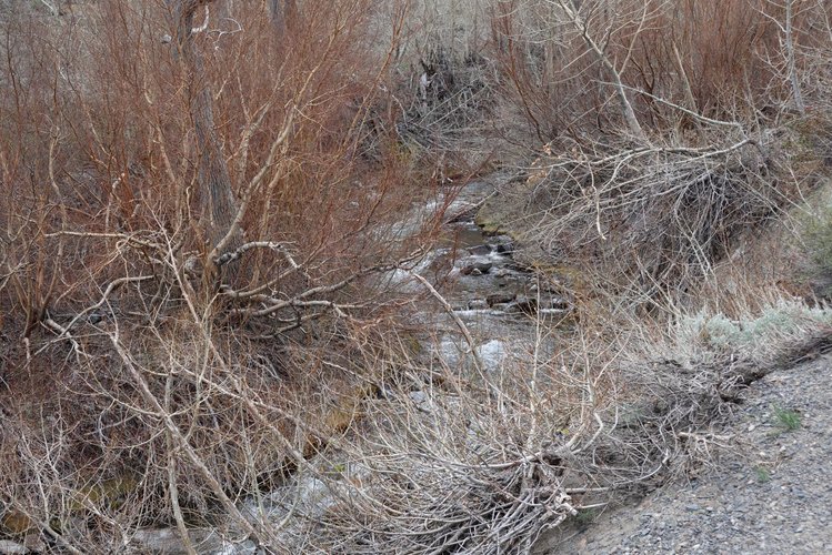 McGee Creek