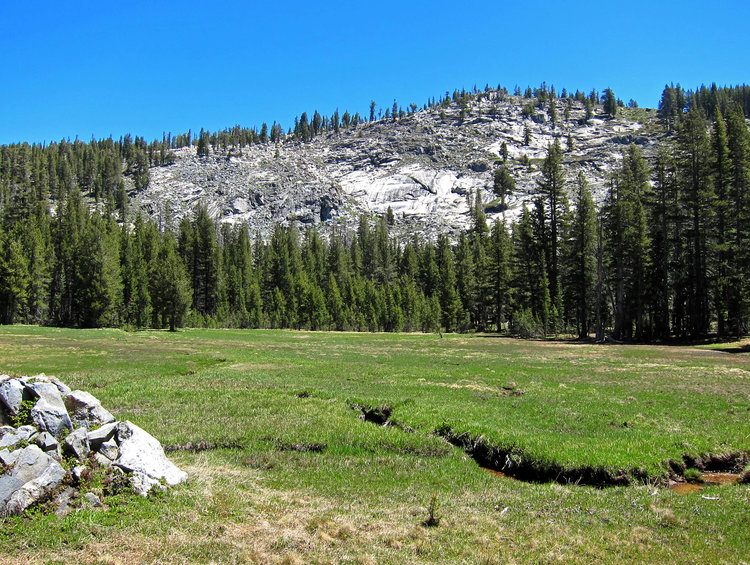 Half Moon Meadow