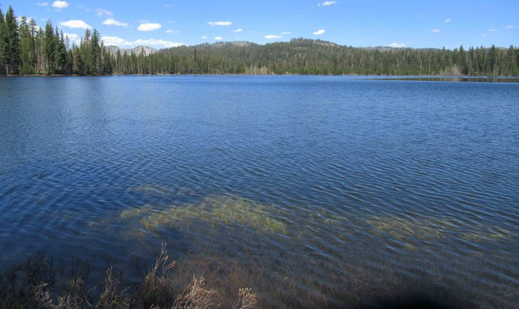 Forest-fringed Laurel Lake with the imposing Nance Peak in the distance; the 1992 route to Kendrick Creek canyon (&amp; Edyth L.) crested the wooded ridge in the center.