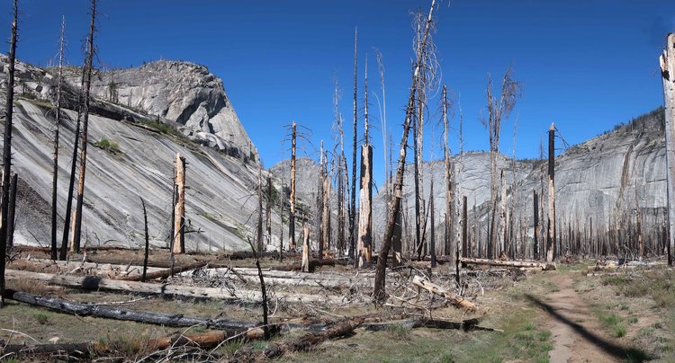west end of LYV with burn